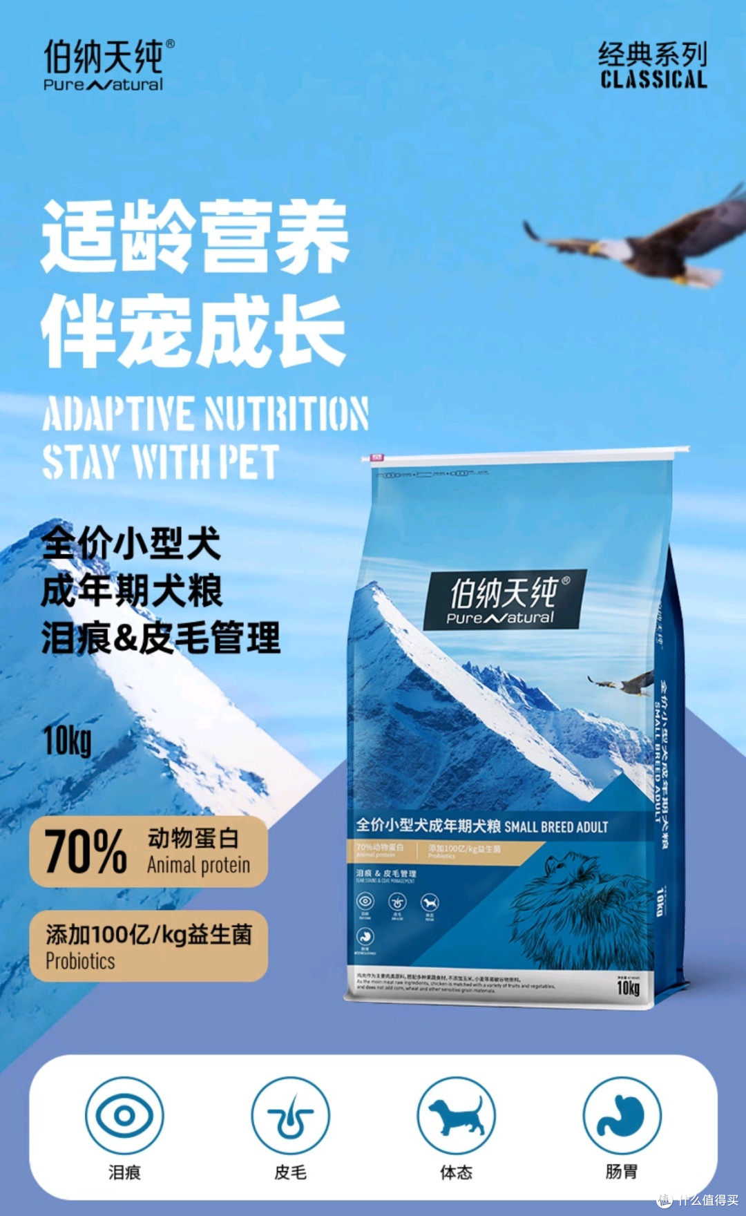 性价比狗粮评测：看看哪款更适合你家的毛孩子