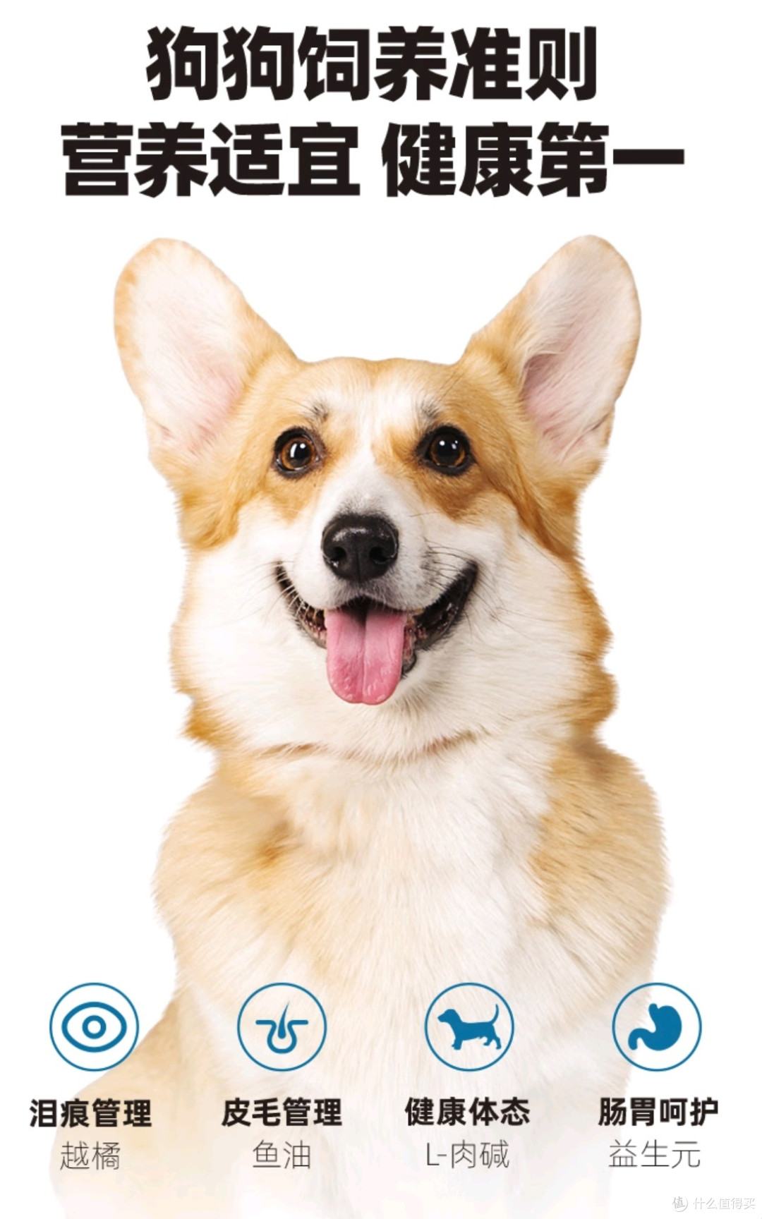 性价比狗粮评测：看看哪款更适合你家的毛孩子