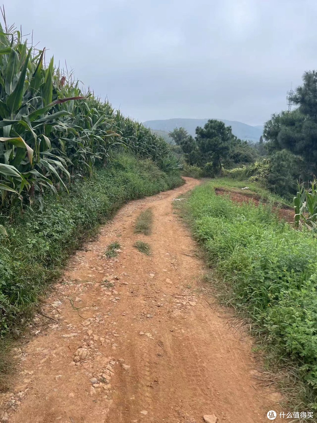 昆明北郊穿越，长虫山到摩天岭