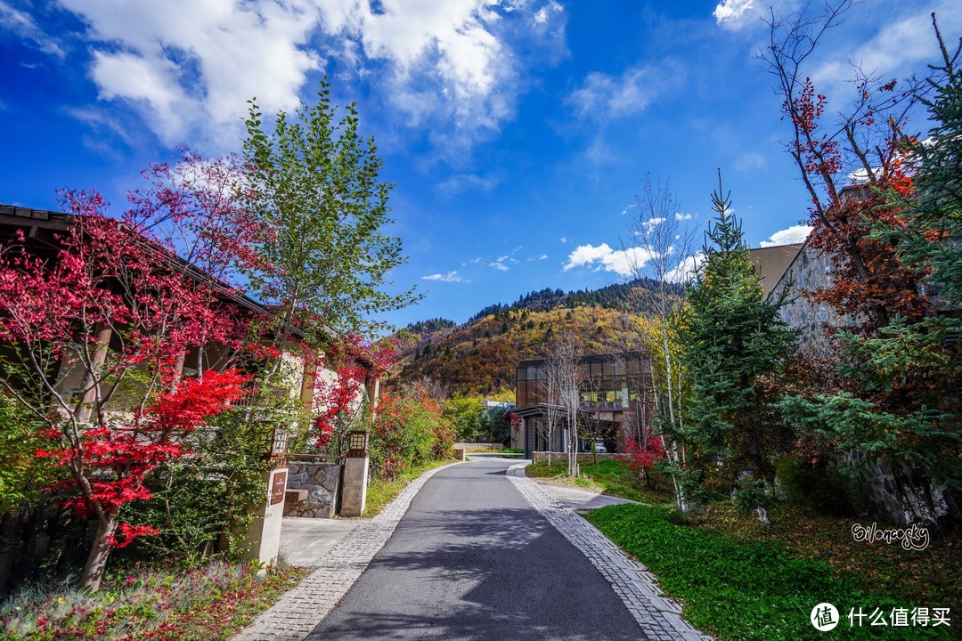 半途出家，落地成康：九寨沟康莱德酒店 豪华景观套房 入住体验