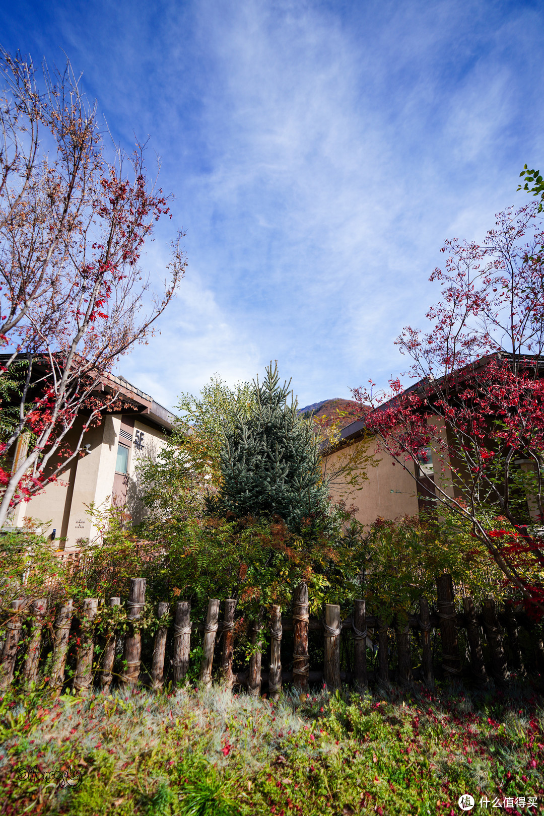 半途出家，落地成康：九寨沟康莱德酒店 豪华景观套房 入住体验