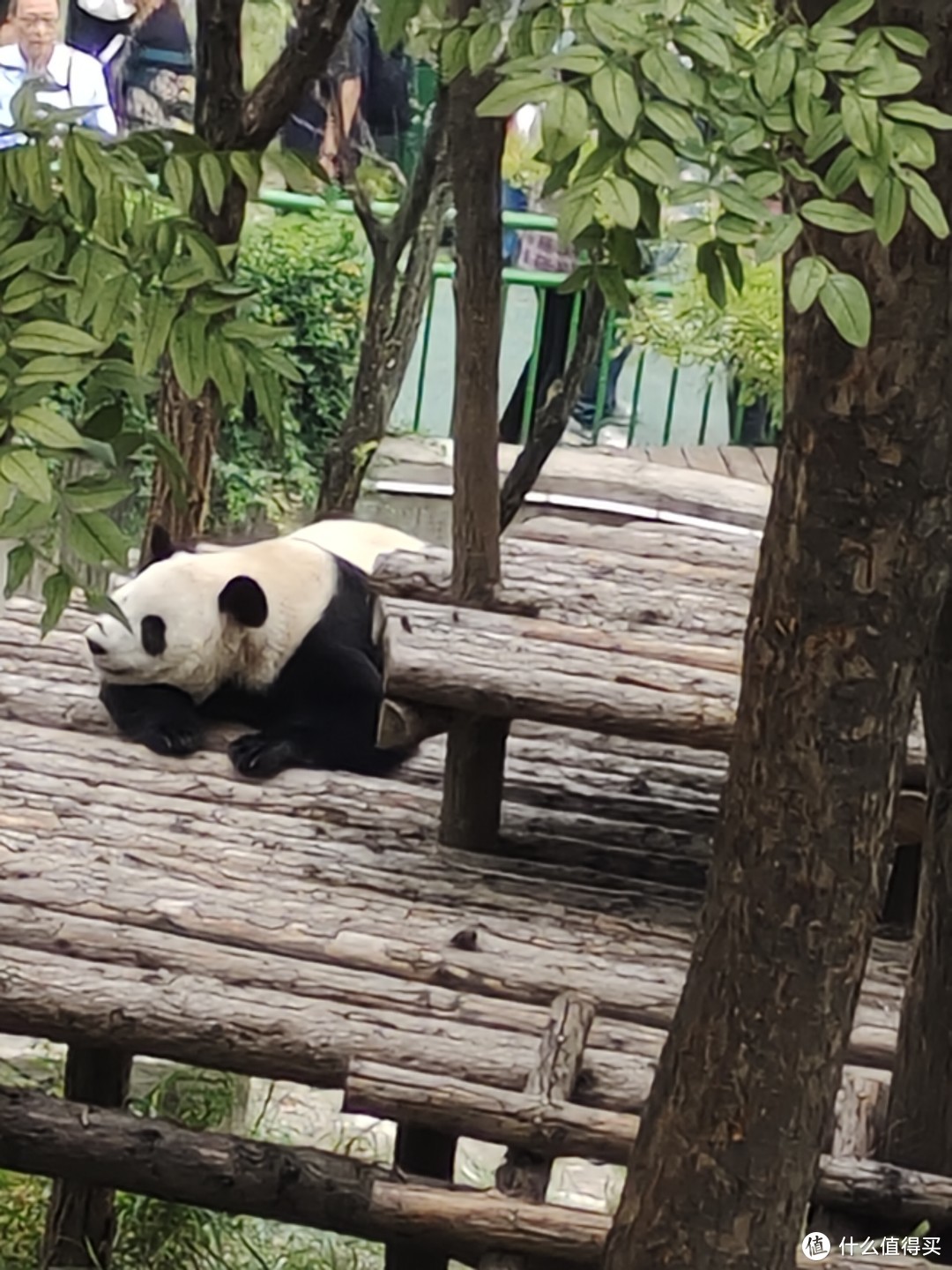 秦岭四宝科学公园游览记