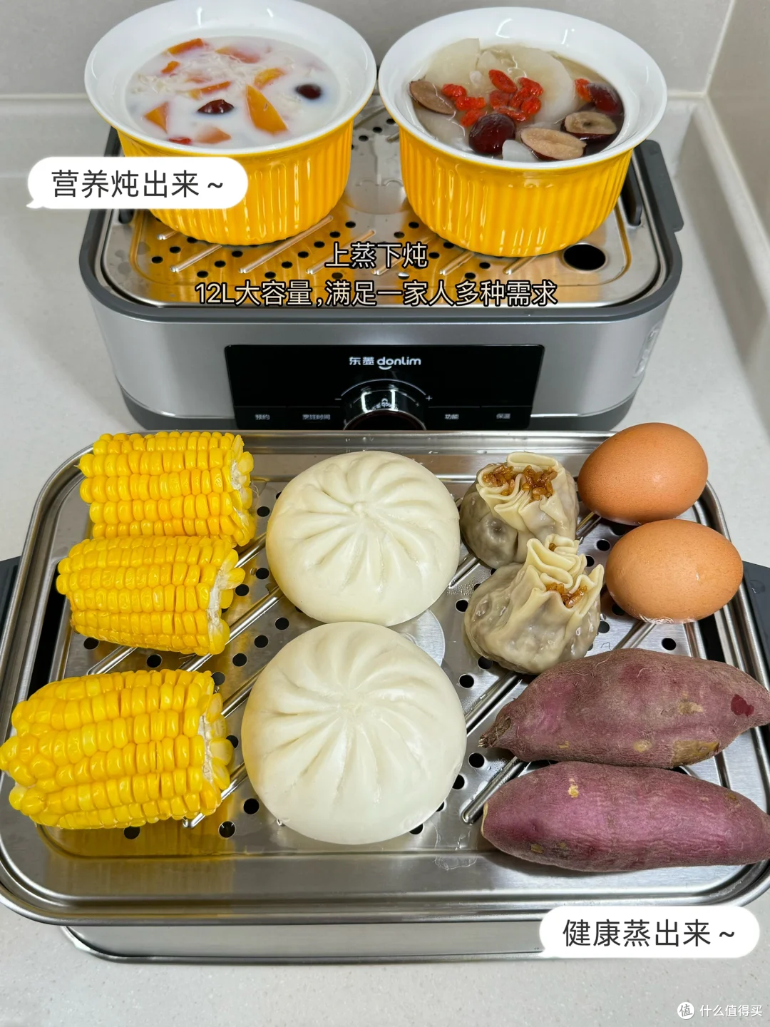 【自费7k实测】2024家用电蒸锅横测|为什么要买电蒸锅？东菱、康宁、北鼎热门电蒸锅哪个更适合家用？