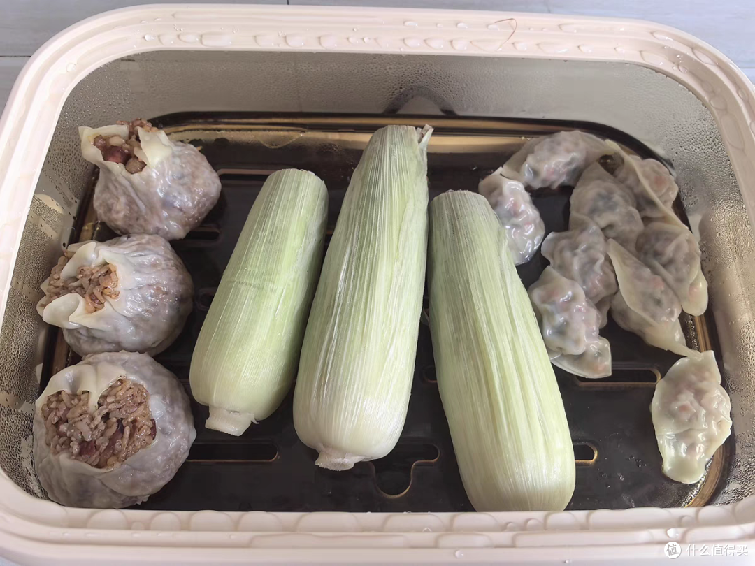 【自费7k实测】2024家用电蒸锅横测|为什么要买电蒸锅？东菱、康宁、北鼎热门电蒸锅哪个更适合家用？