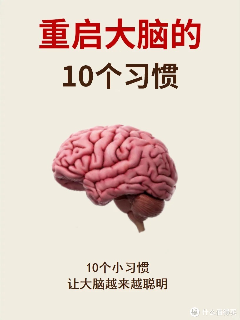 大脑越来越聪明的10个行为❗️