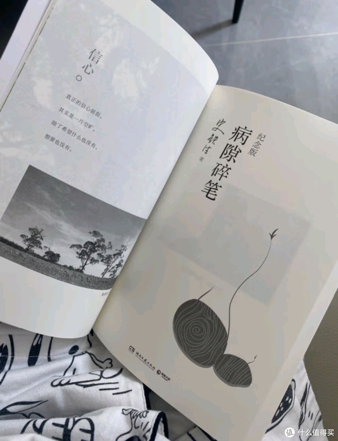 在苦难中探寻生命的意义——《病隙碎笔》浅读