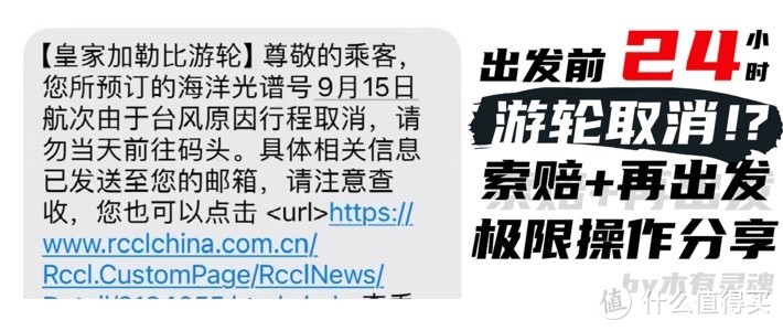 顶配游轮出发前一天临时取消？24小时极限索赔+出行实操