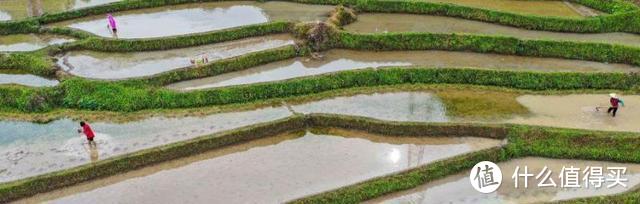 谷雨节气介绍，谷雨是春季的最后一个节气！