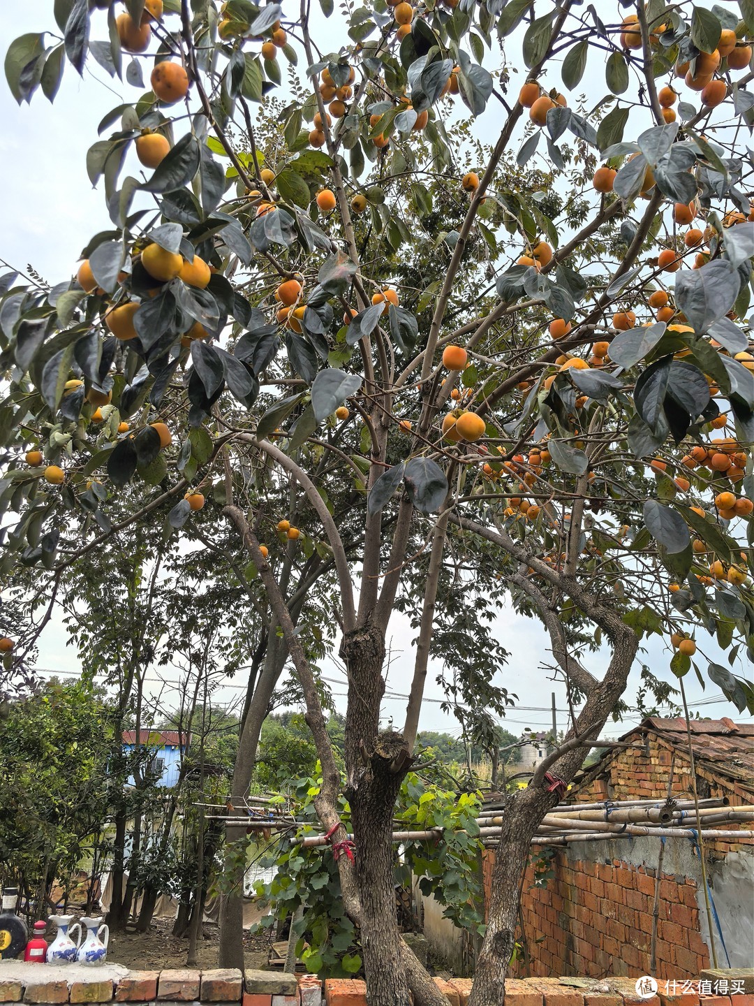 上海自驾318！Day2⃣：溧阳华府智选假日酒店 角房入住体验 溧阳一号公路