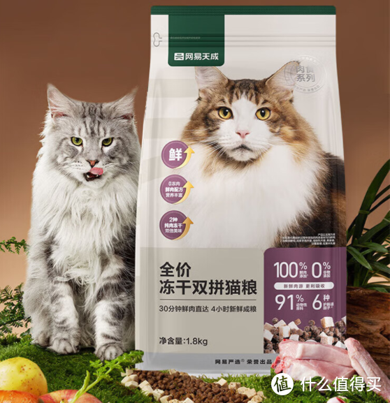 学会在双十一买好价猫粮，让猫猫衣吃无忧