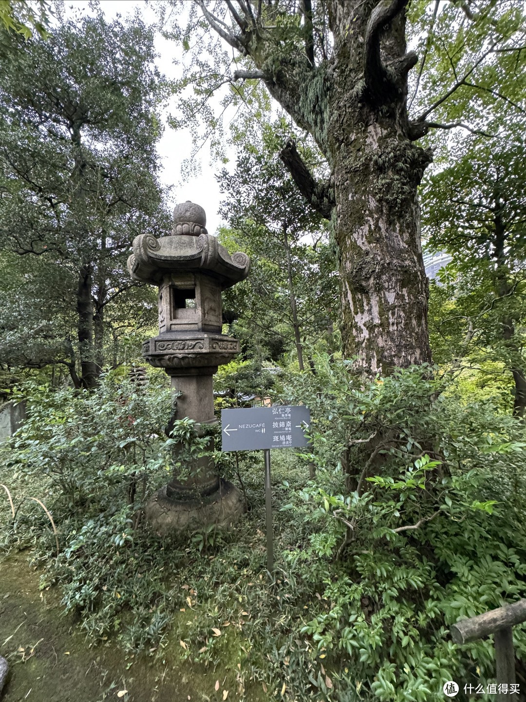 在日本的日子：一个背包，一个日本！第八周！伊豆！