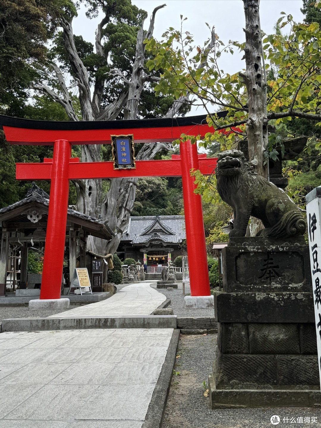 在日本的日子：一个背包，一个日本！第八周！伊豆！