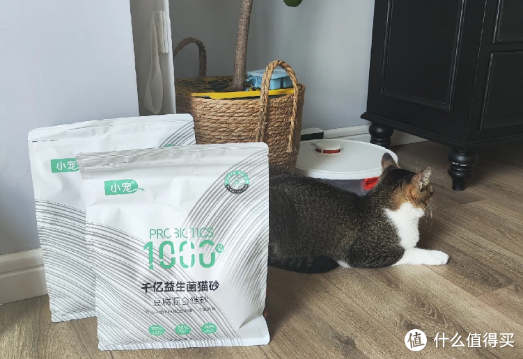 学会在双十一买好价猫粮，让猫猫衣吃无忧