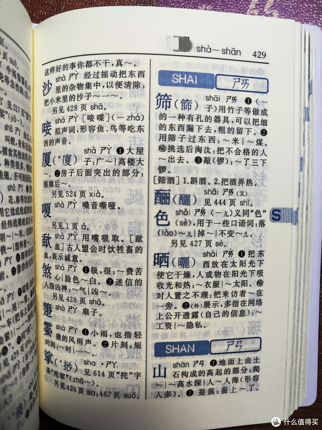 第12版新华字典双色版小晒