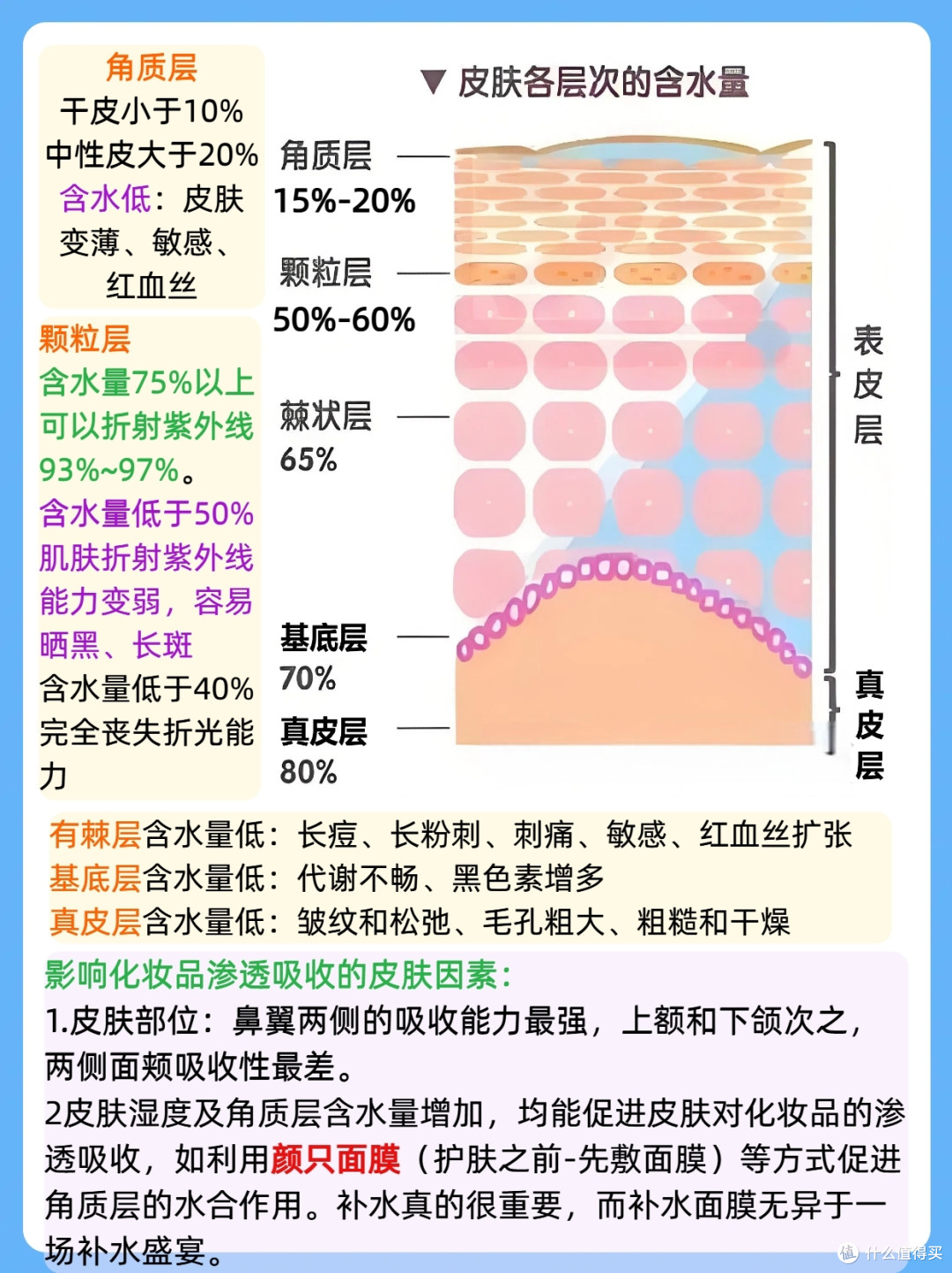 看懂皮肤结构，终于知道为会出现各种皮肤问题了。_面部皮肤管理_什么值得买