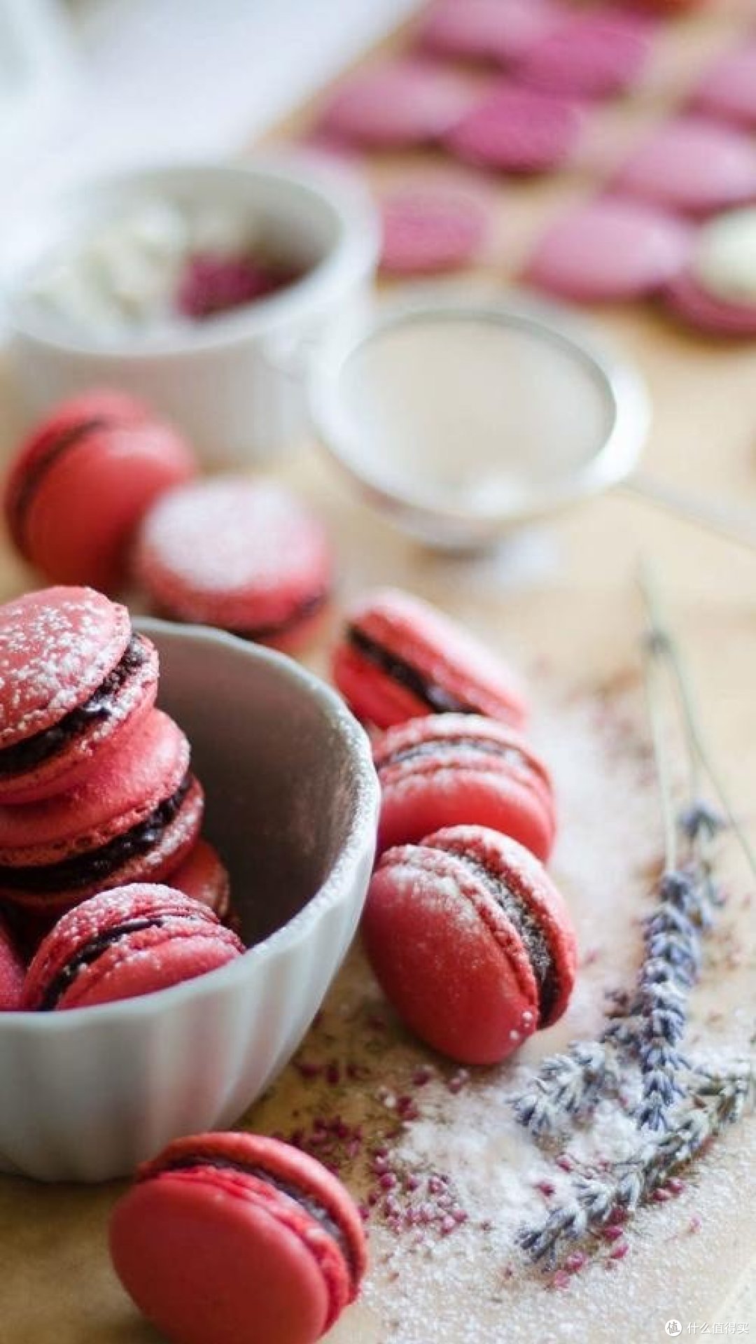 投影仪选购指南：性能参数详解