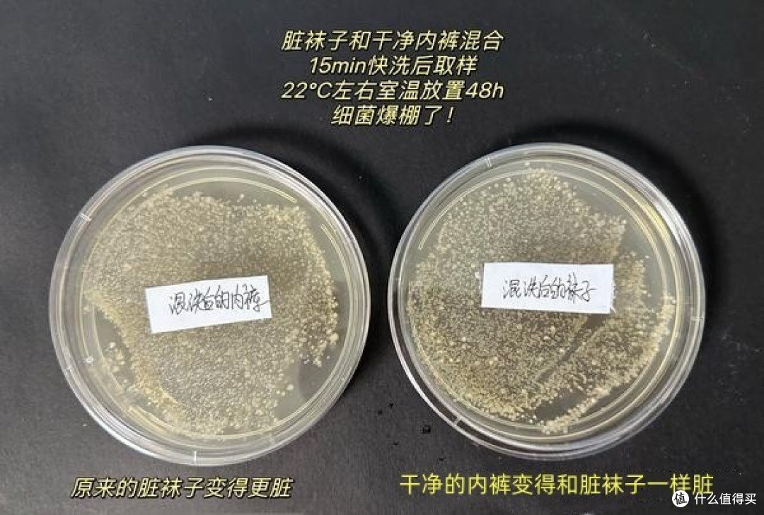 小米出了分区洗衣机，袜子分开洗，到底是伪需求还是真刚需？