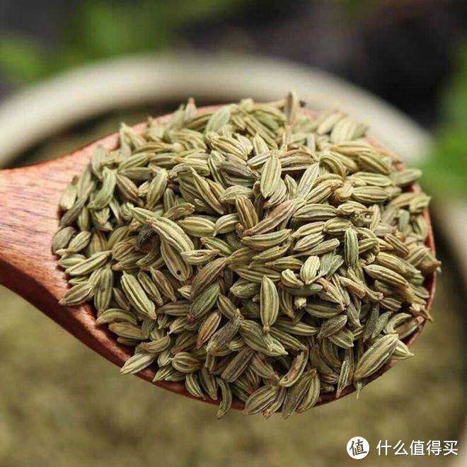 茴香和孜然一样吗？哪种香味浓郁？