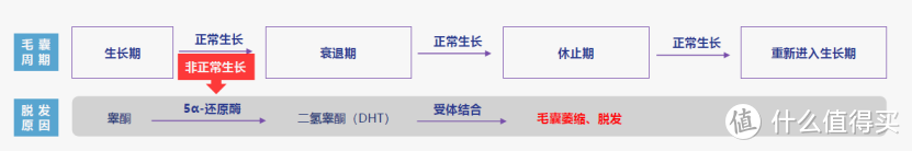 拯救中年秃头计划之Bailleul测评记: 法国 小白管米诺地尔+巴约尔洗发水CP组合，温和治养，清爽生发！