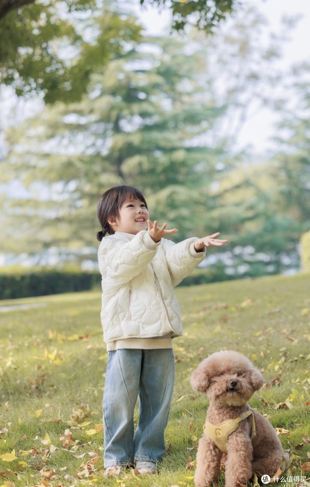 双11养宠提前“购”精明我家小狗狗🐶孩子快乐的童年伴侣