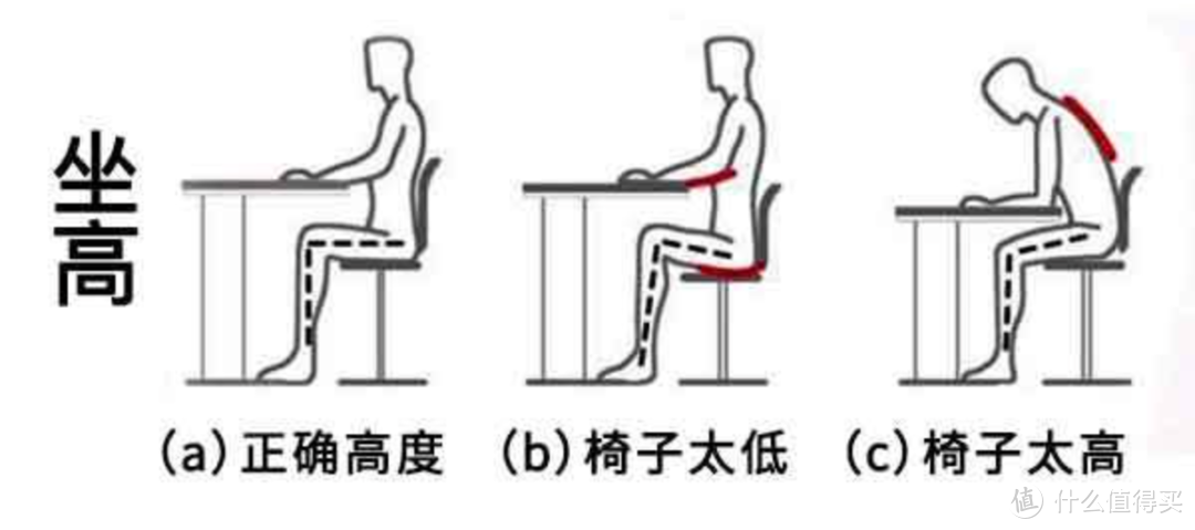 花3.2W多买了8把人体工学椅，包含保友、西昊等主流大牌，真人兽对比，带你看到底该选哪款人体工学椅