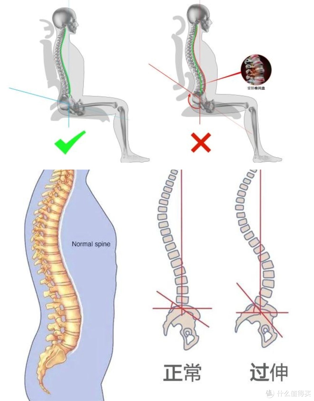 花3.2W多买了8把人体工学椅，包含保友、西昊等主流大牌，真人兽对比，带你看到底该选哪款人体工学椅