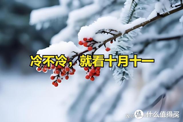 “冷不冷，就看十月十一”，今日十月十一，今冬有多冷？农谚咋说