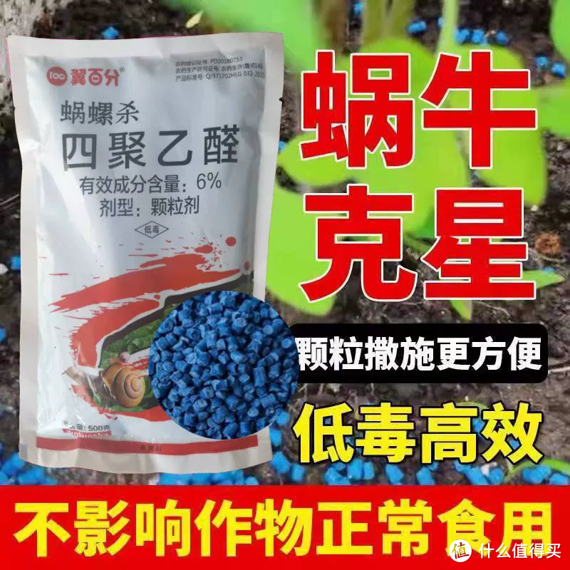 🐌四聚乙醛蜗牛药，高效除害护菜园！🐌