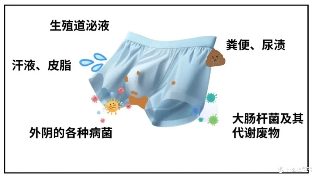 男士内裤品牌排行榜前十名：五款优质品牌强烈种草