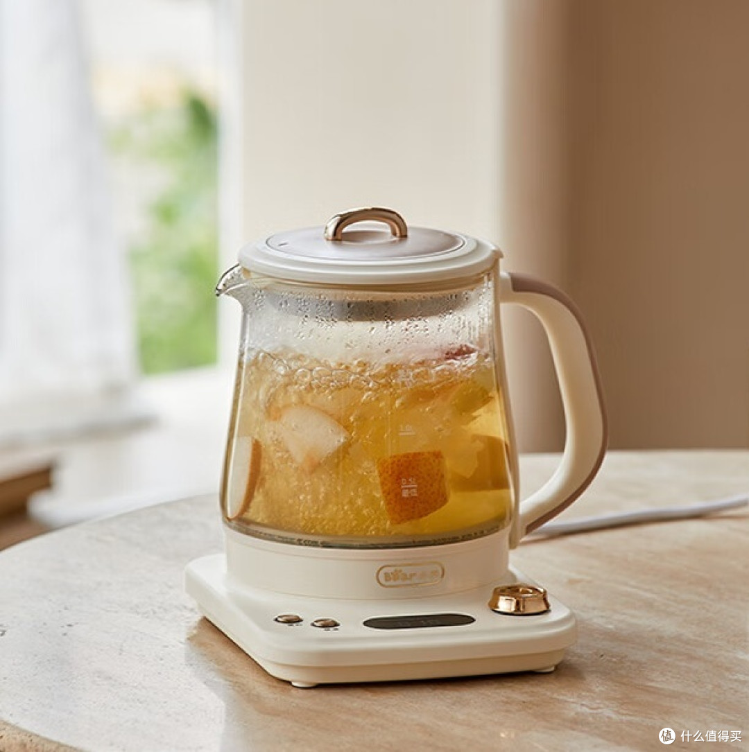 养生壶选购注意事项？专家测评推荐5大优质品牌