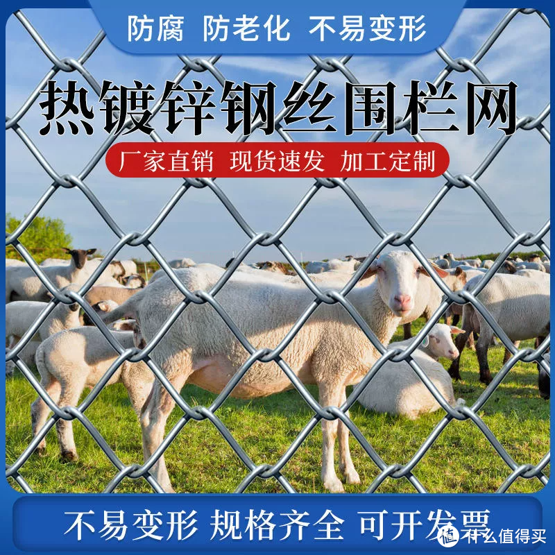 🐮热镀锌防锈铁丝网，养殖围栏的好帮手！🐮