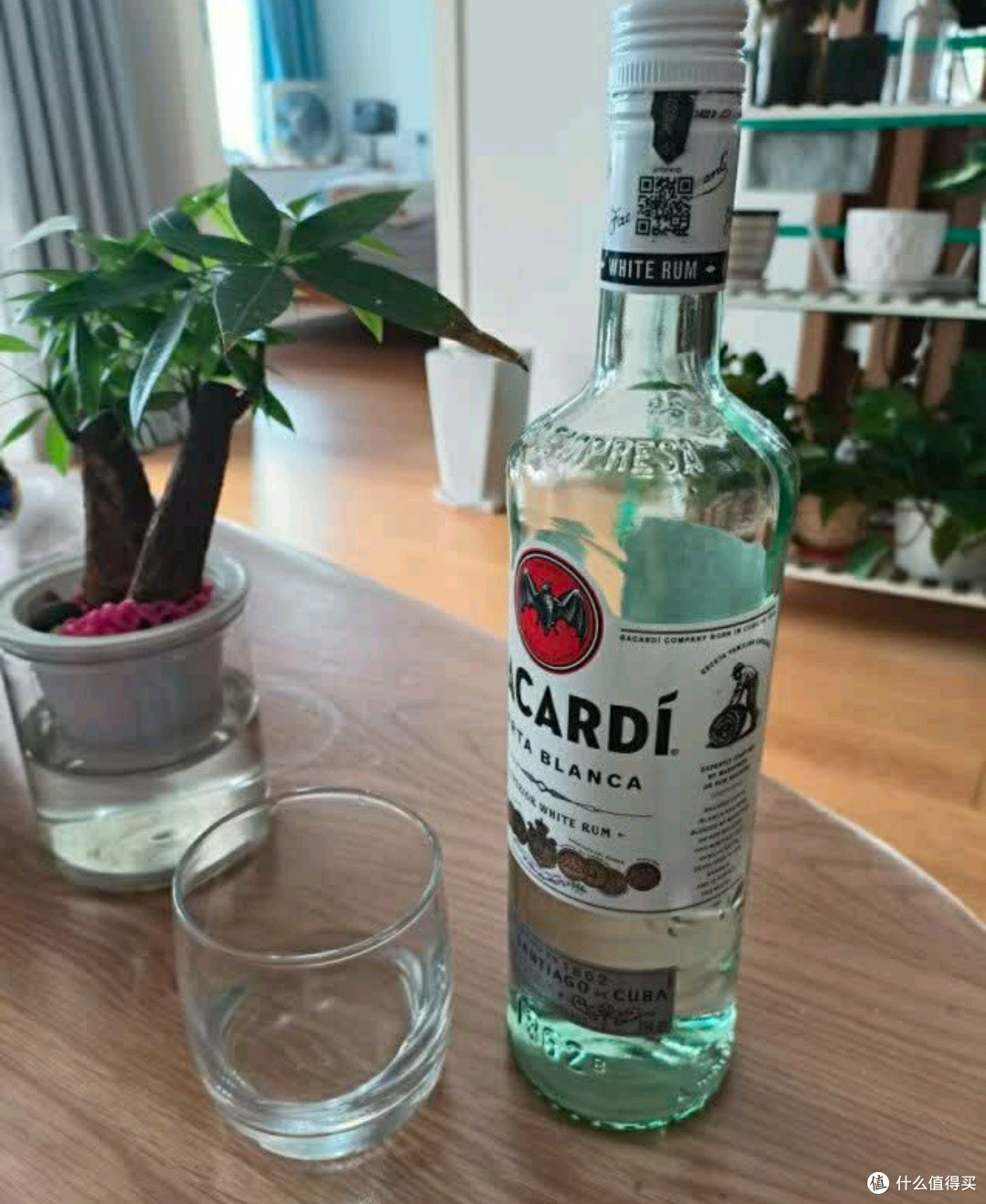 百加得白朗姆酒,让你轻松调制出完美莫吉托