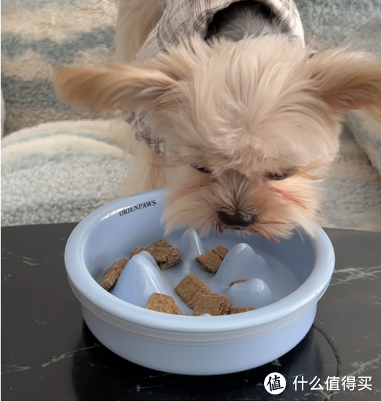 为什么新西兰宠粮品牌Sundaypets要致力于宠物慢食？