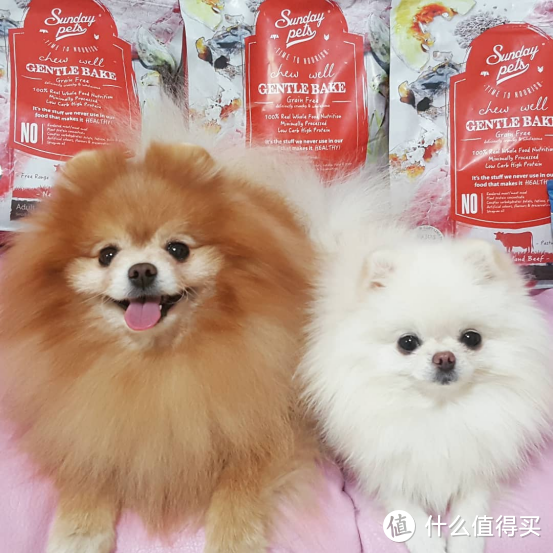 为什么新西兰宠粮品牌Sundaypets要致力于宠物慢食？