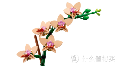 斧头当花瓣？魔杖当花蕊？乐高花植套装还能这么玩