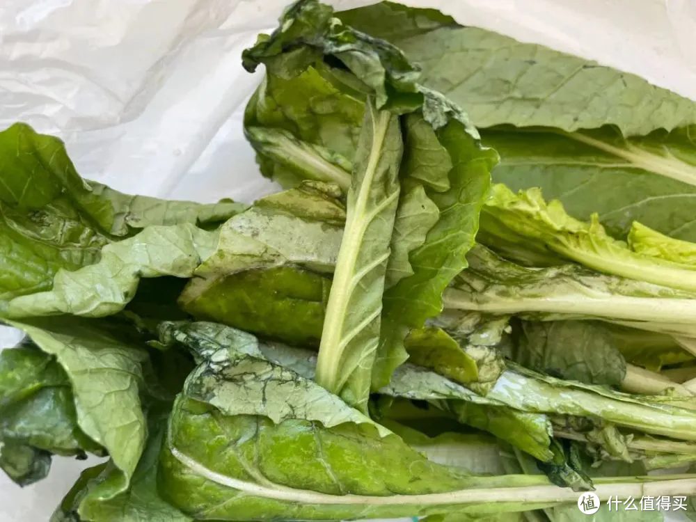 买完菜后，不要把塑料袋和食材一起塞进冰箱，看完记得提醒家人