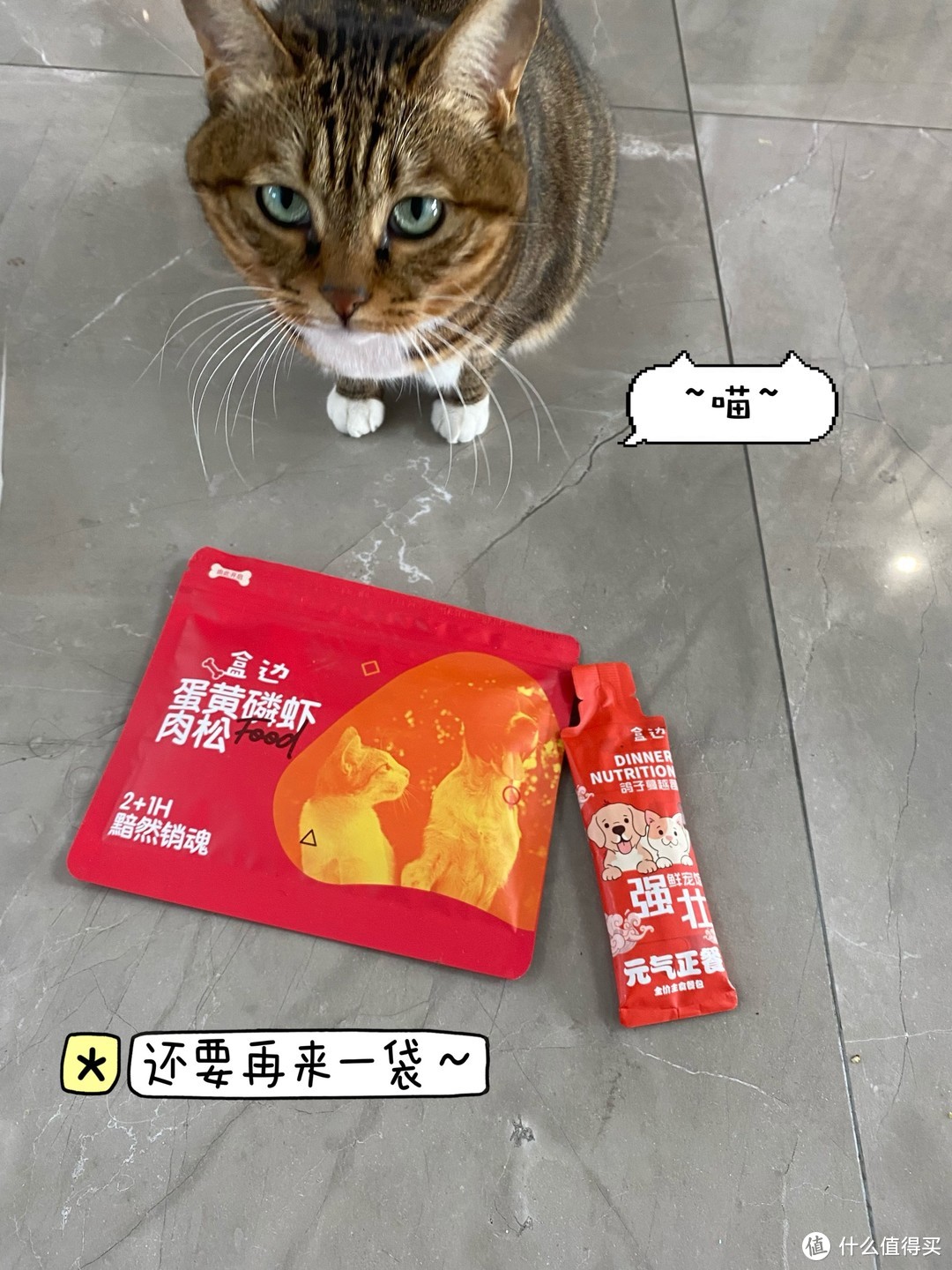 幸福生活就是猫吃鱼虾🐟🦐，狗吃肉，奥特曼打小怪兽👾！