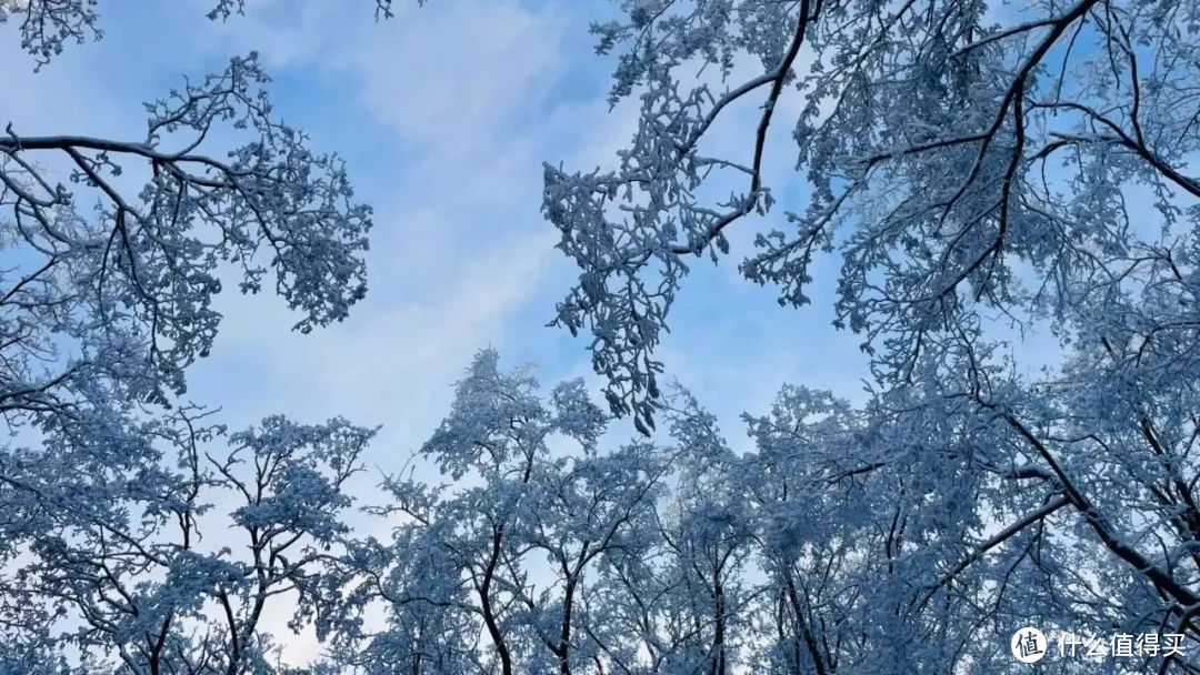 万树琼花一夜开，都和天地色皑皑