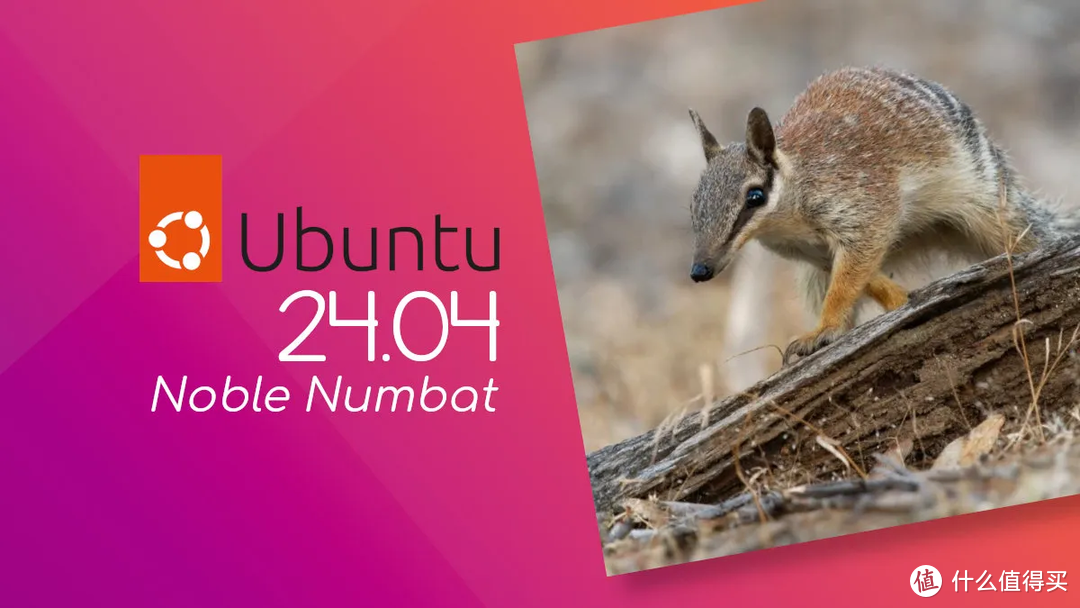 Ubuntu24.04版共享文件夹设置攻略