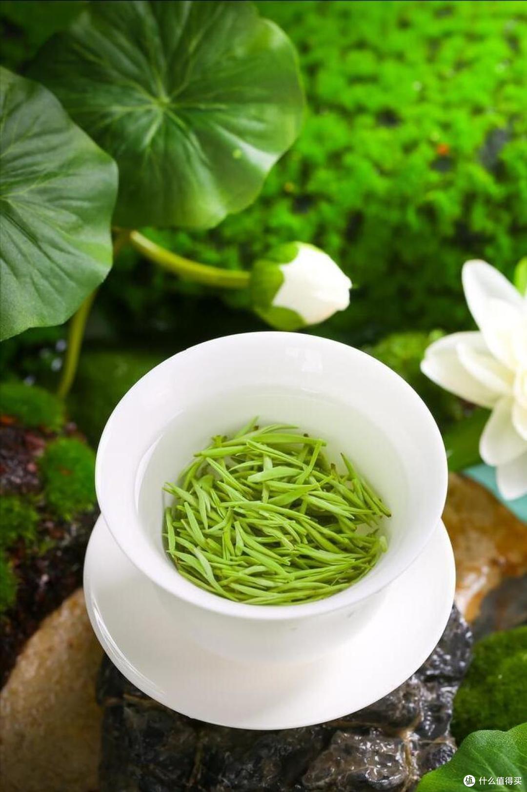 中国哪的茶最好喝？经过评选，这“十大名茶”上榜，你爱喝哪几种