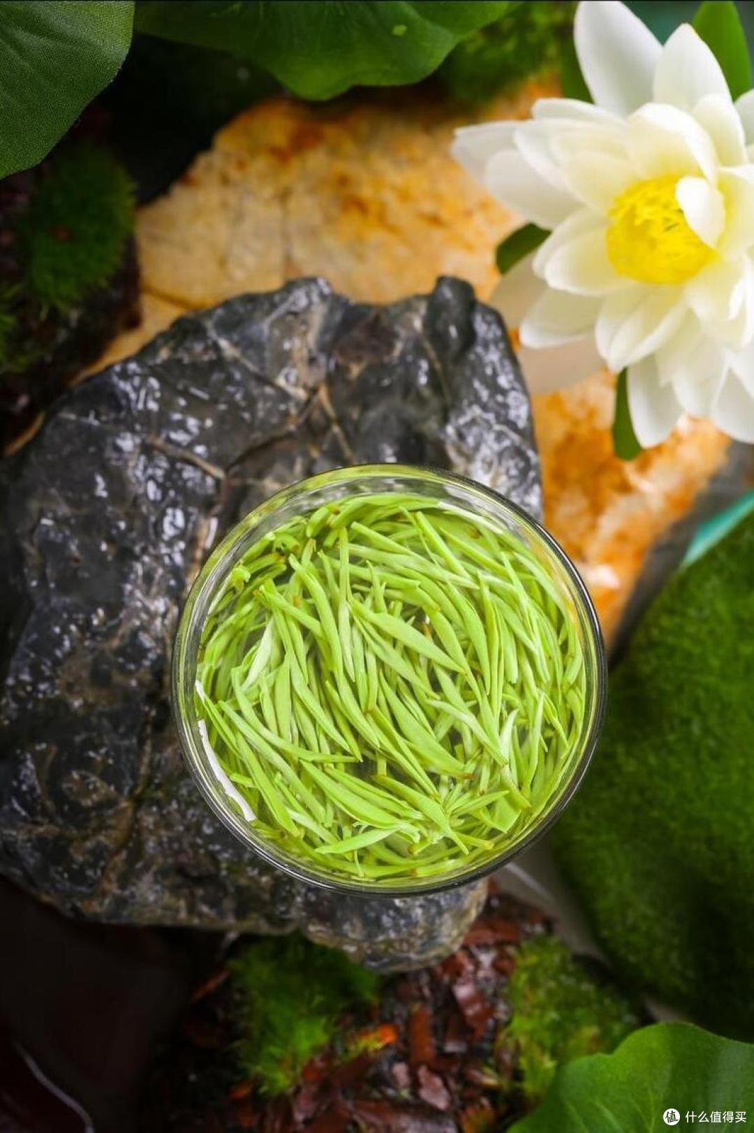 中国哪的茶最好喝？经过评选，这“十大名茶”上榜，你爱喝哪几种