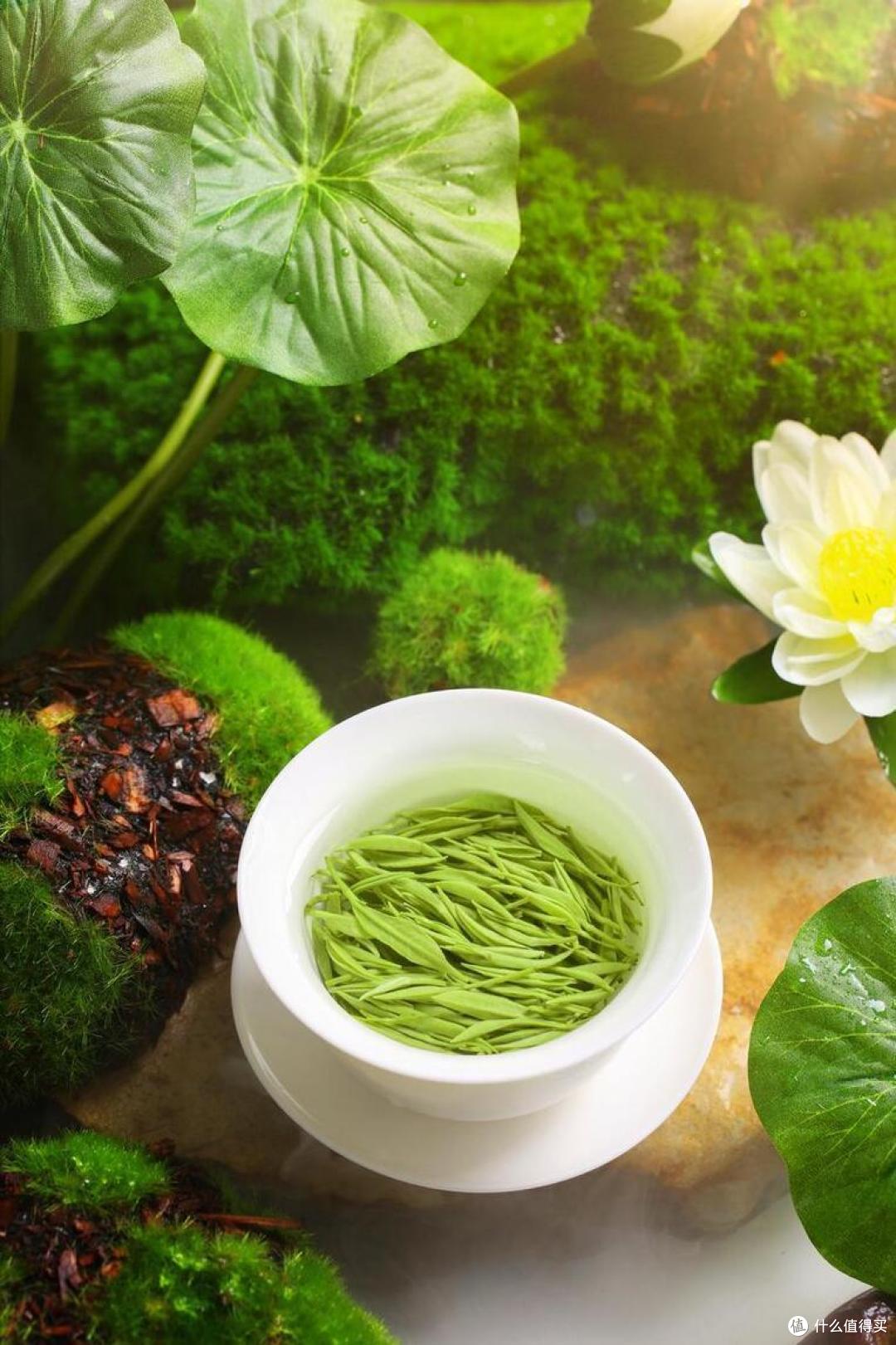 中国哪的茶最好喝？经过评选，这“十大名茶”上榜，你爱喝哪几种