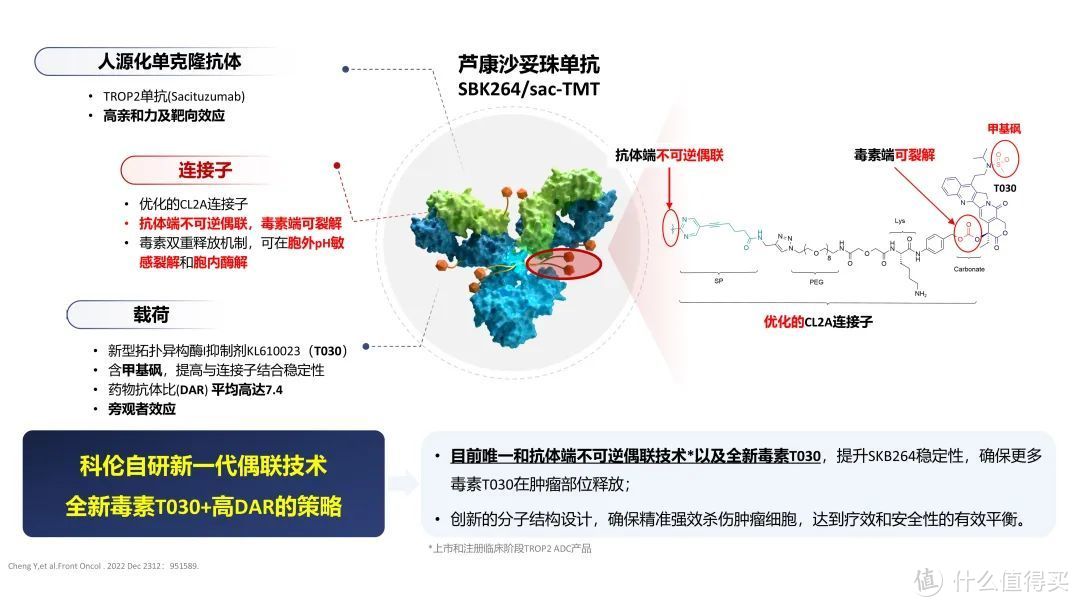 图2：药物分子结构设计