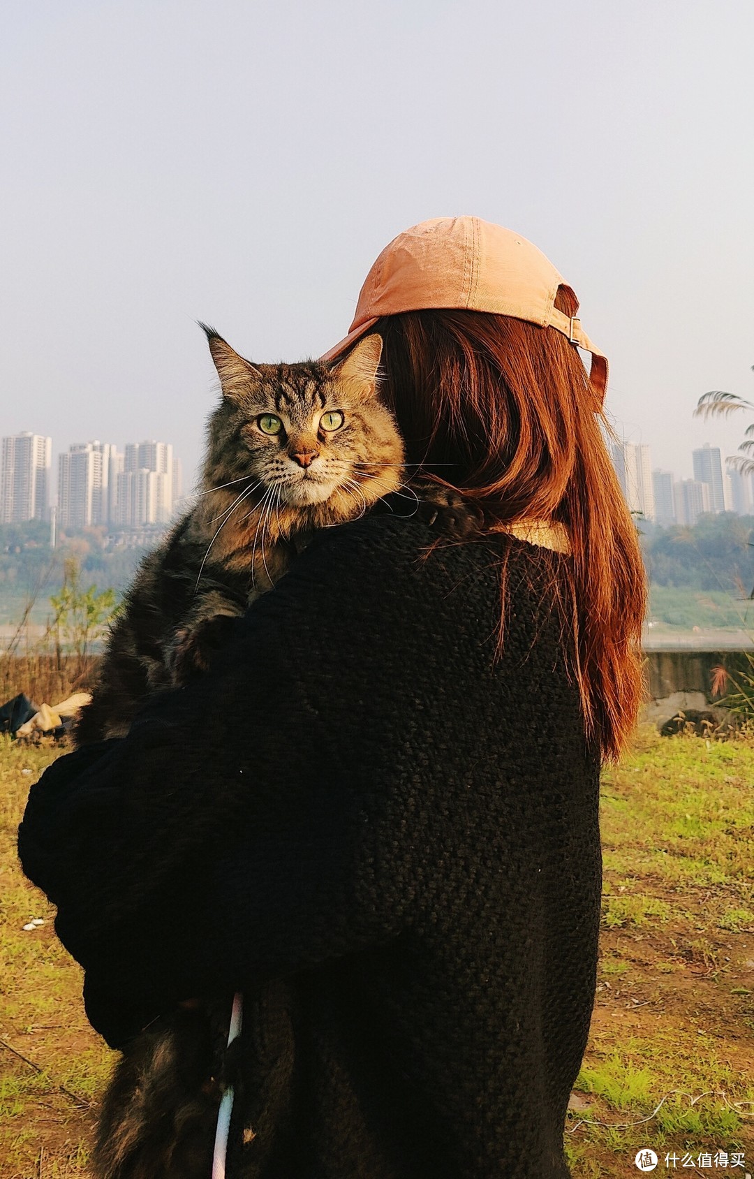 给大家看看我家三只小肥猪