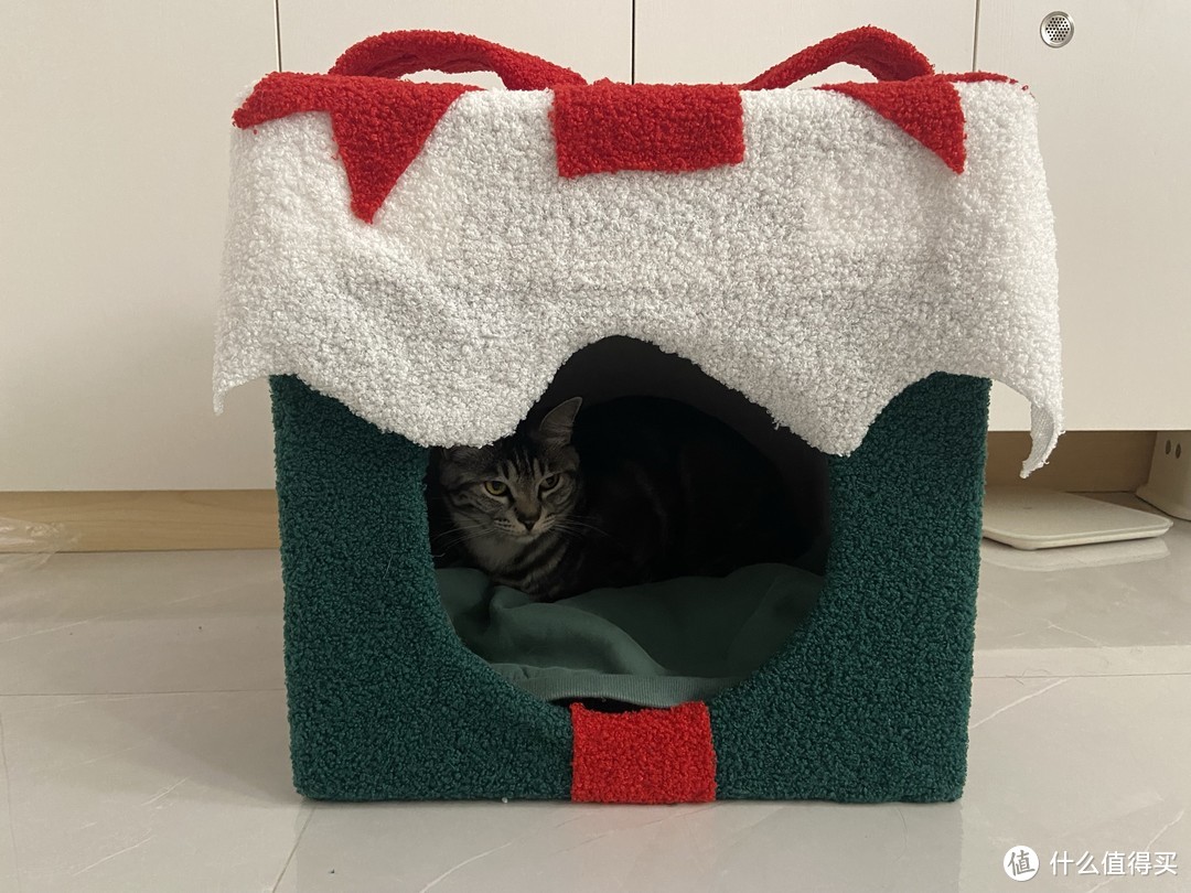 教你低成本做个简易猫屋，猫猫过冬不用愁