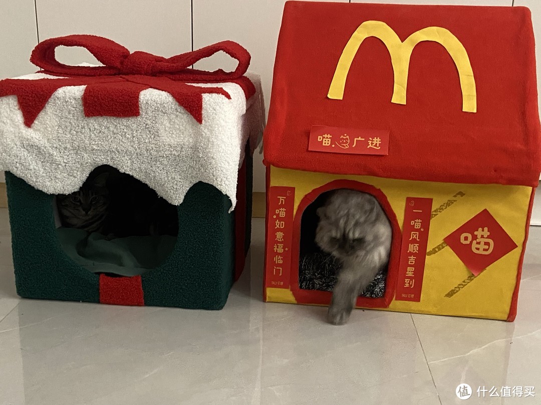 教你低成本做个简易猫屋，猫猫过冬不用愁