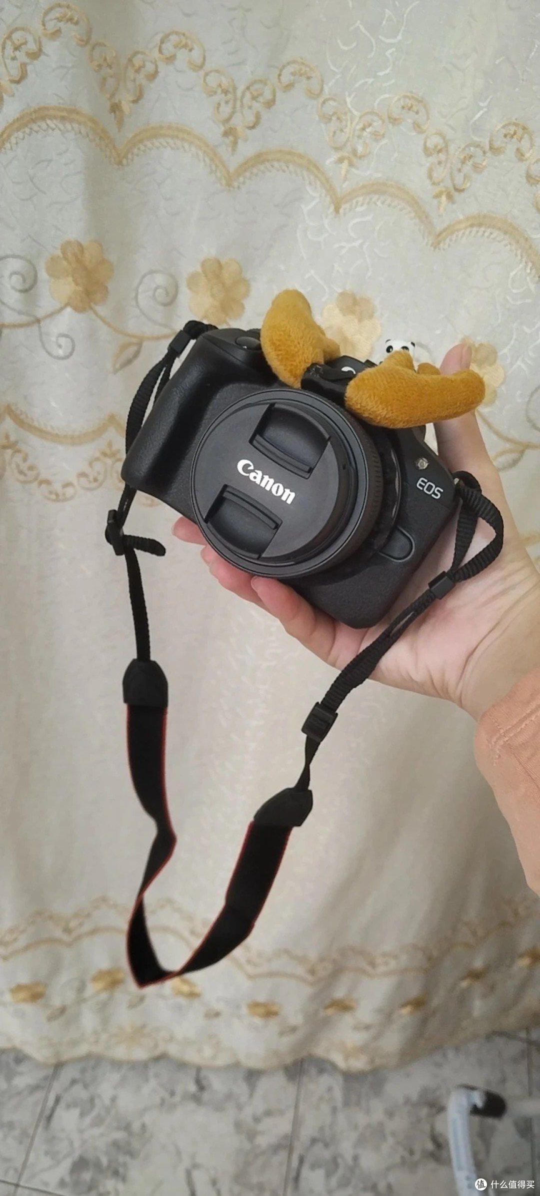 佳能R100微单相机 入门相机首选！