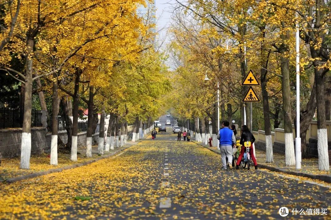 这里的秋天无平替！抓住最后的尾巴，赶紧再玩一趟~