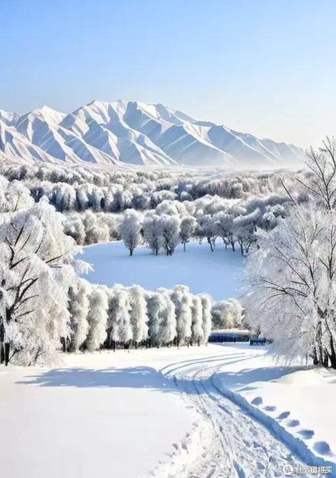 东北雪景，你心动了吗？