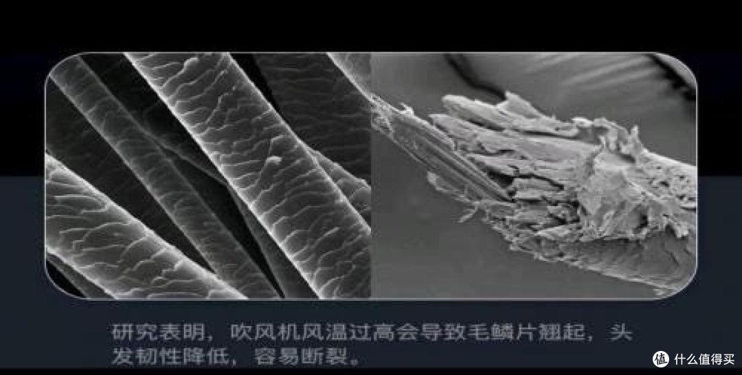 吹风机什么牌子的质量比较好？养发精英榜前五测评！